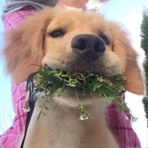 Meet your Posher, Cindy